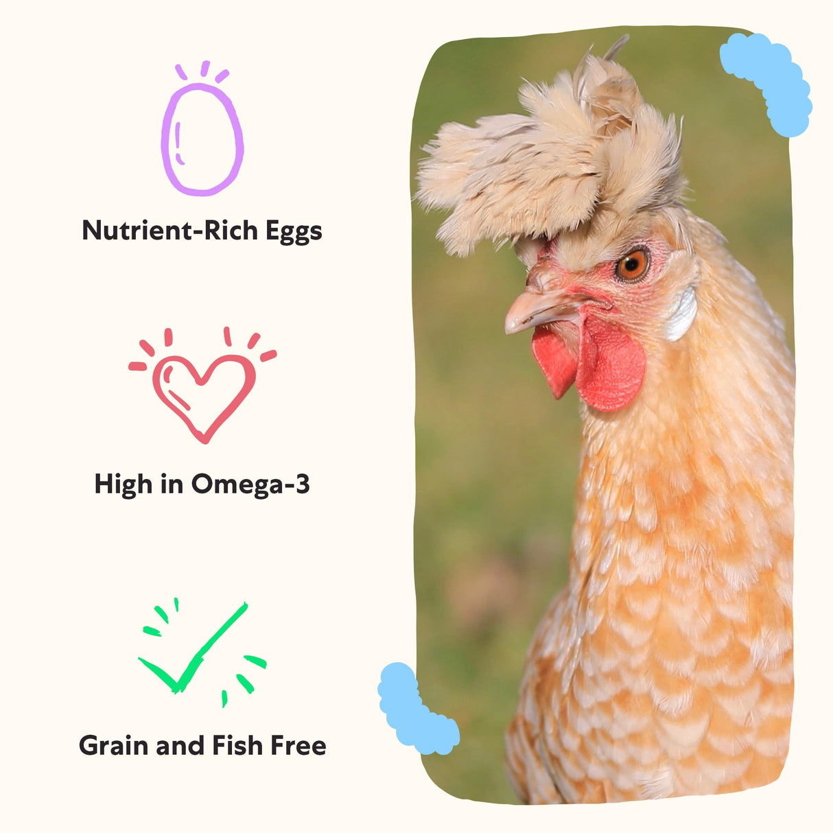 Grubbly Farms Omega Mix Chicken Treats for Laying Hens - Superfood and Omega-Rich Chicken Feed Supplement to Support Egg Production, Strong Eggshells and Nutritious Yolks - 5LB
