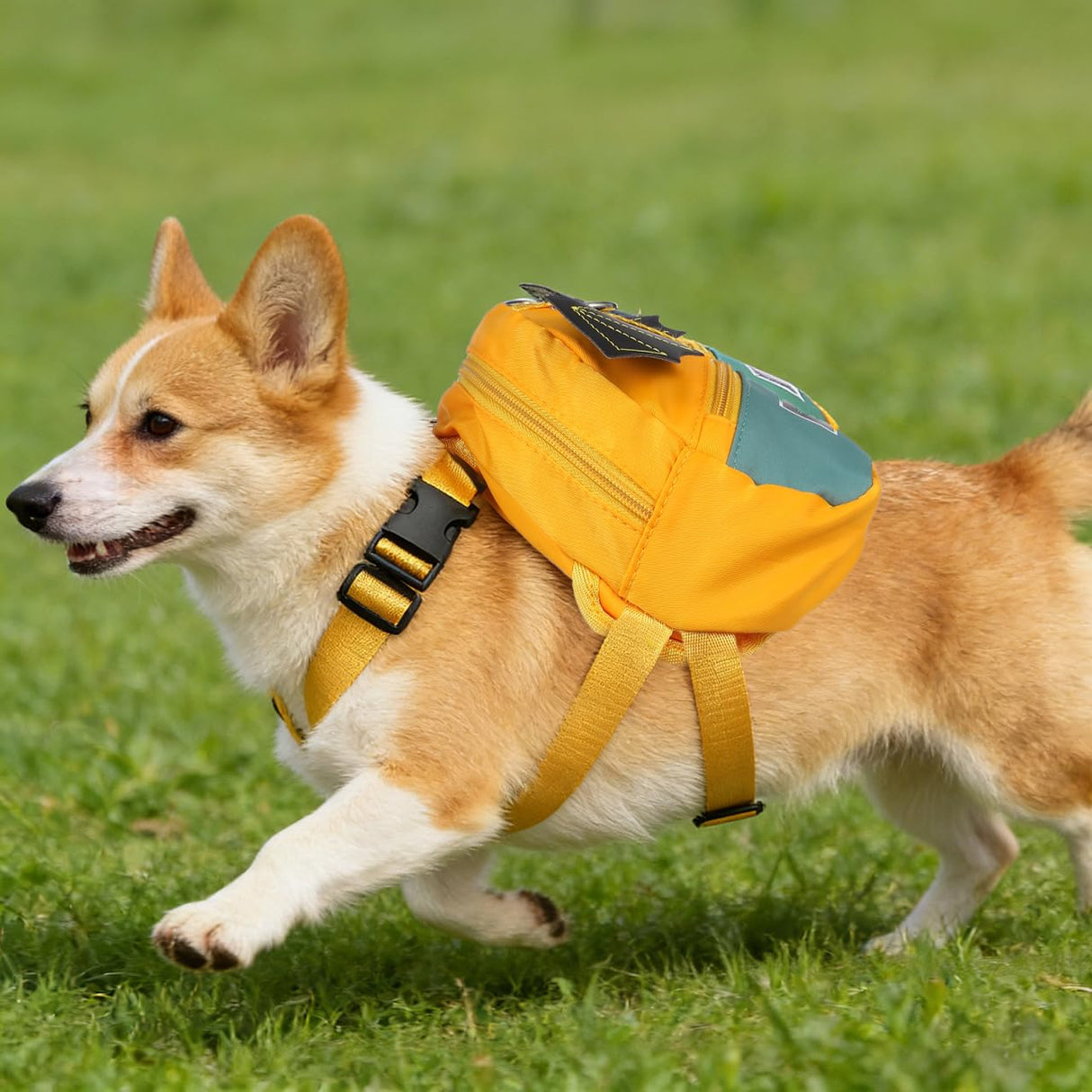 VILLCASE Dog Pack Pet Backpack Adjustable Self-Wearing Dog Harness Bag with Pockets for Small Dogs Outdoor Travel Hiking Daily Use