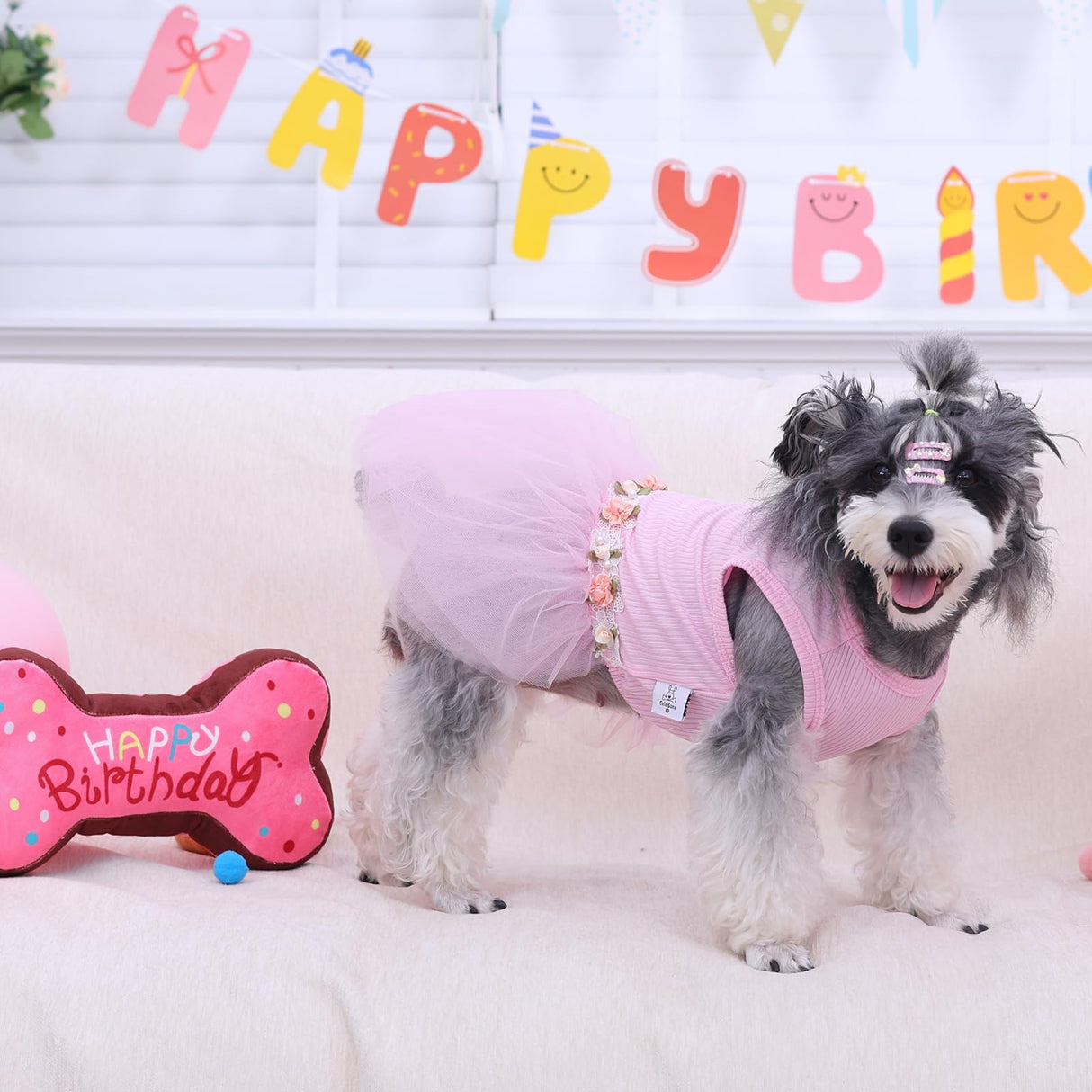 CuteBone Pink Tulle Skirt Dog Wedding Bridesmaid Dress for Puppy with Lace Trim at Waist - Comfortable, Stylish, and Perfect for Special Occasions HBQ01L