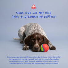 Load image into Gallery viewer, Turmeric for Dogs Anti Inflammatory Pain Relief - 120 Chewable Tablets - Hip & Joint Support Anti Inflammatory for Dogs with Curcumin and BioPerine, Antioxidant, Cardiovascular