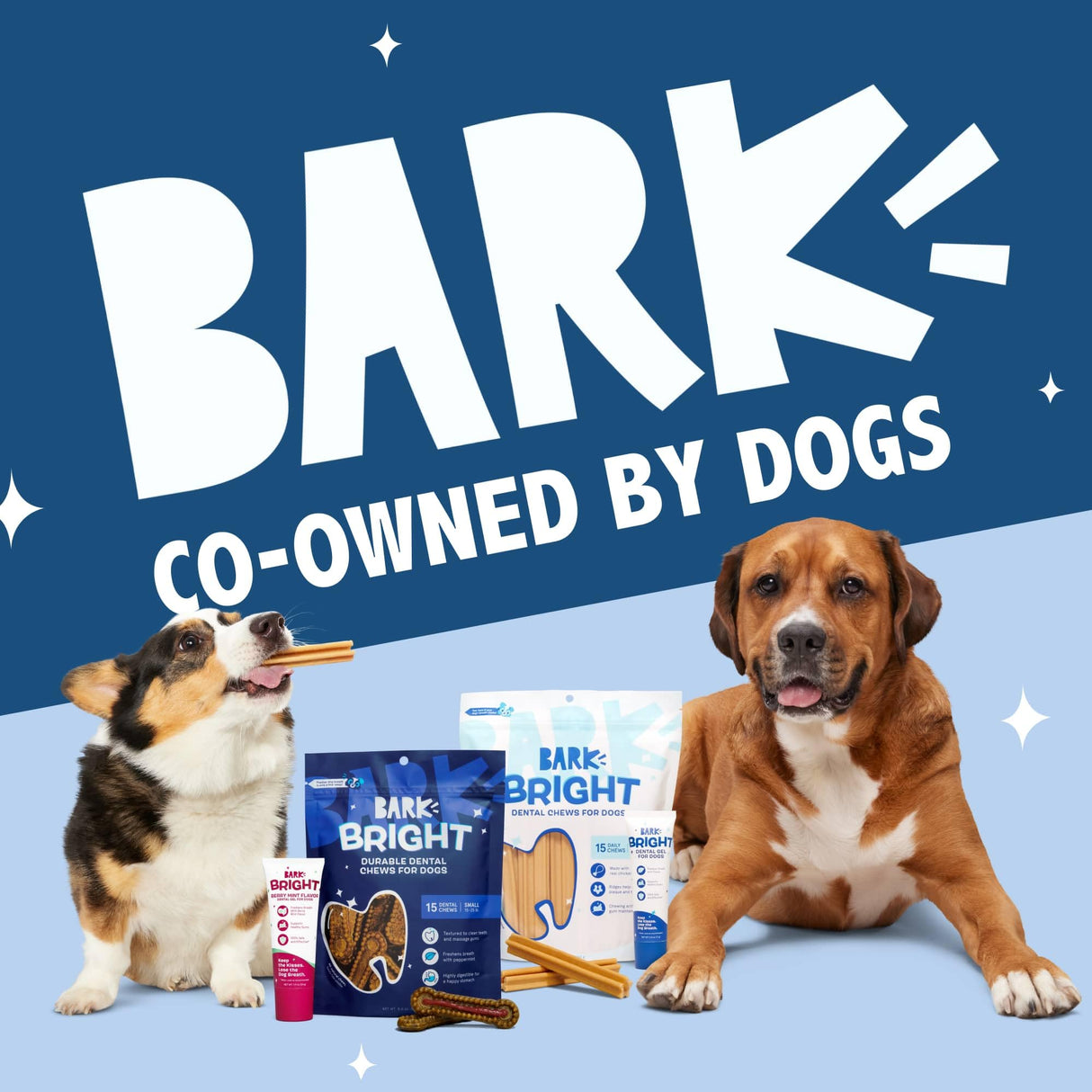 Barkbox Bright Durable Dog Dental Kit for Tough Chewers, 15 Chew Sticks & Toothpaste - Large Breeds