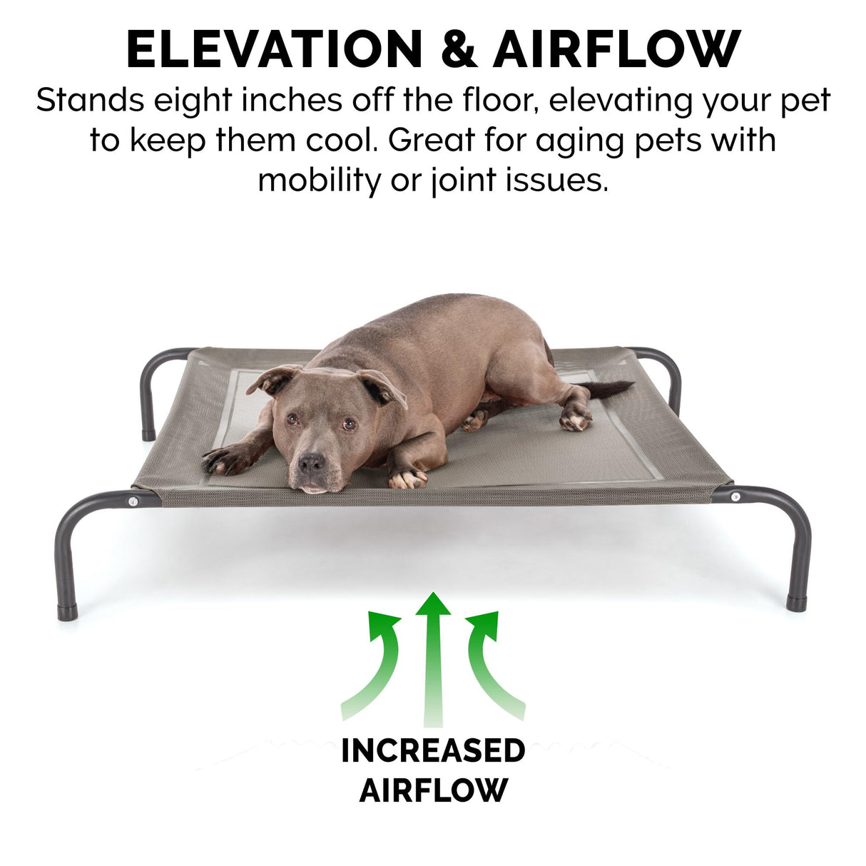FurHaven Elevated Pet Cots - Cooling & Breathable Nylon Mesh Hammock for Large Dogs/Easy-to-Assemble / / Durable and Reinforced/Perfect for Rest & Relaxation Outdoors - Graphite Gray, Large
