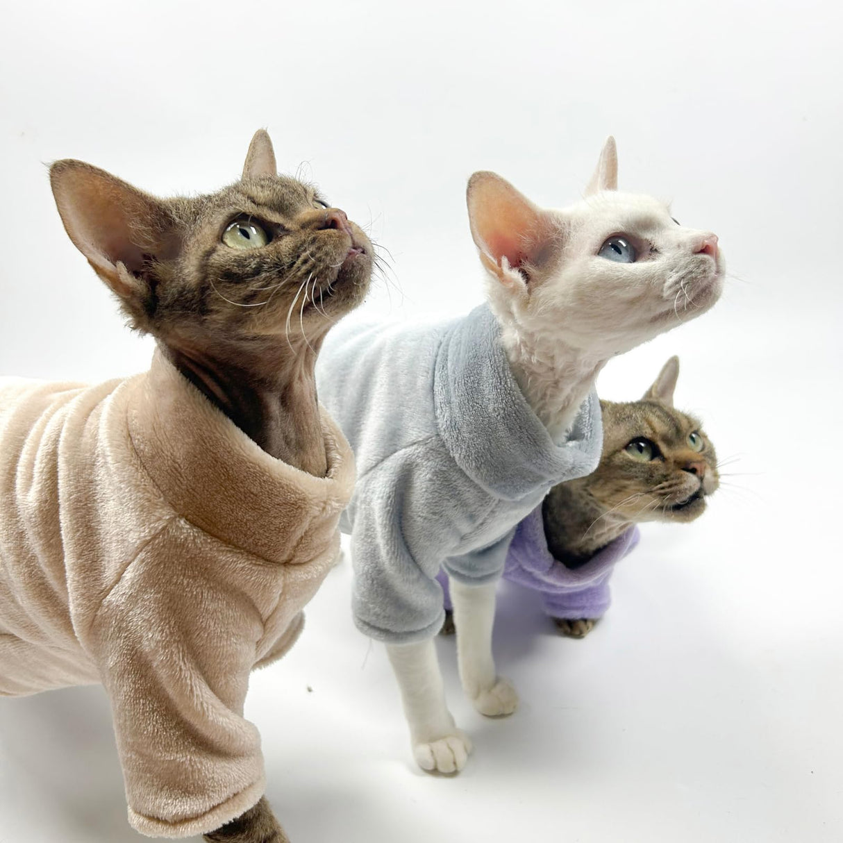 Urnat Cat Flannel Clothes, Warm Soft Winter Sweater Jumpsuit Shirt Clothing for Hairless Sphynx Devon & Indoor Kittens (Blue,XL)