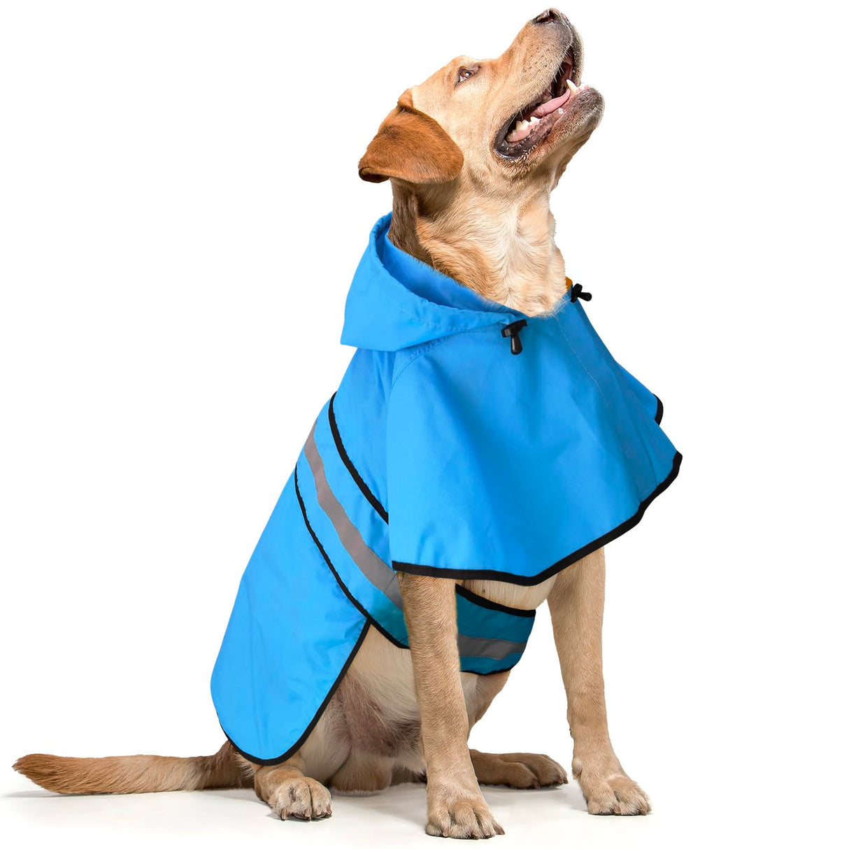 Domagiker Waterproof Dog Raincoats - Hooded Raincoats for Dogs, Adjustable Reflective Dog Rain Coat, Windproof Dog Rain Jacket Pet Rain Slicker Poncho for Small, Medium, Large Dogs (Small, Blue)