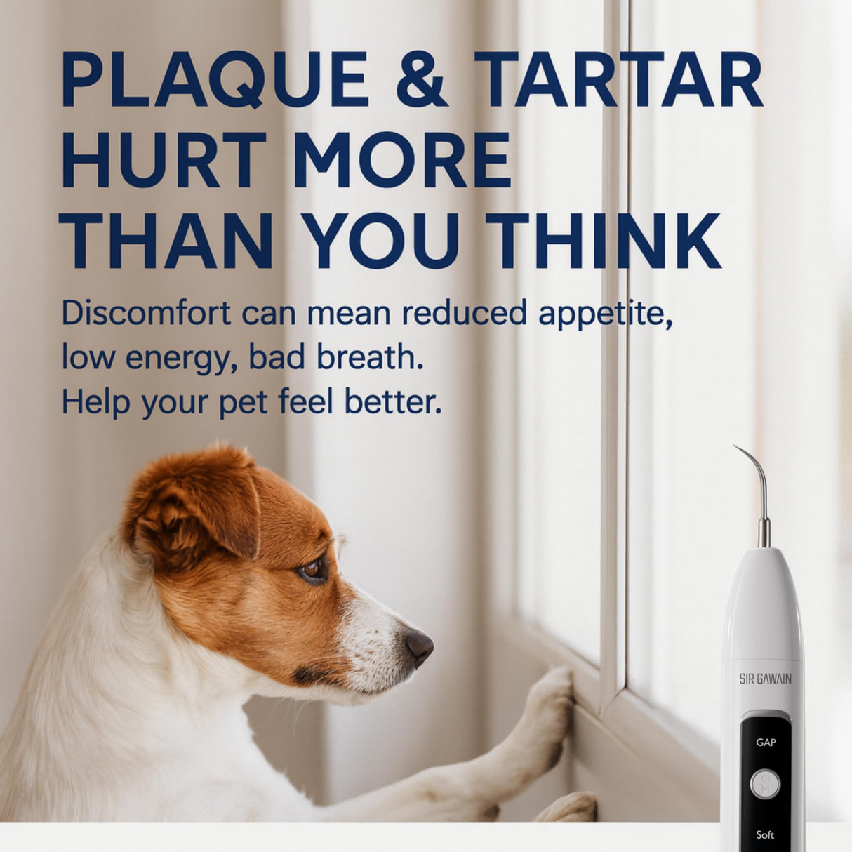 SIRGAWAIN Pet Ultrasonic Dental Cleaner — Plaque, Tartar & Stains Remover, 4 Tips, 3 Modes, LED, Contact-Activated & Smart Touch Protection, Complete Cleaning Kit for Dogs & Cats (White)