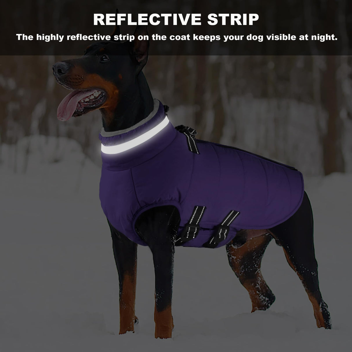 Mklhgty Small Dog Coat with Harness Built-in, Waterproof Reflective Fleece Lined - Warm Windproof Winter Jacket with Back Zipper, Cold Weather Snow Dog Coats - Purple - S