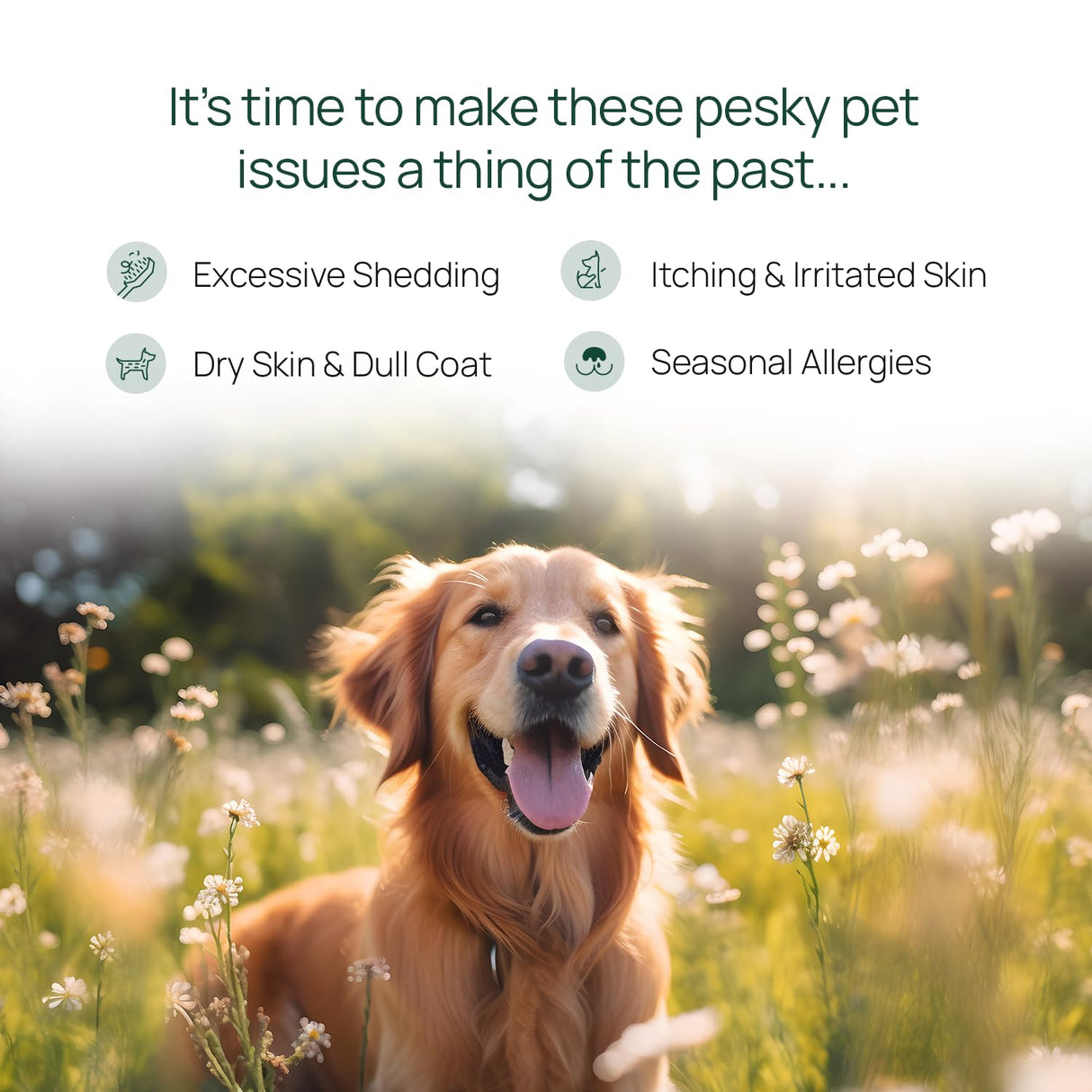 pawTree Salmon Oil-Dog and Cat Fish Oil Supplement-Ideal for excessive shedding control, seasonal allergies, itch relief, dry, irritated skin. With over 15 heart-healthy Omega-3 & Omega-6 Fatty Acids.
