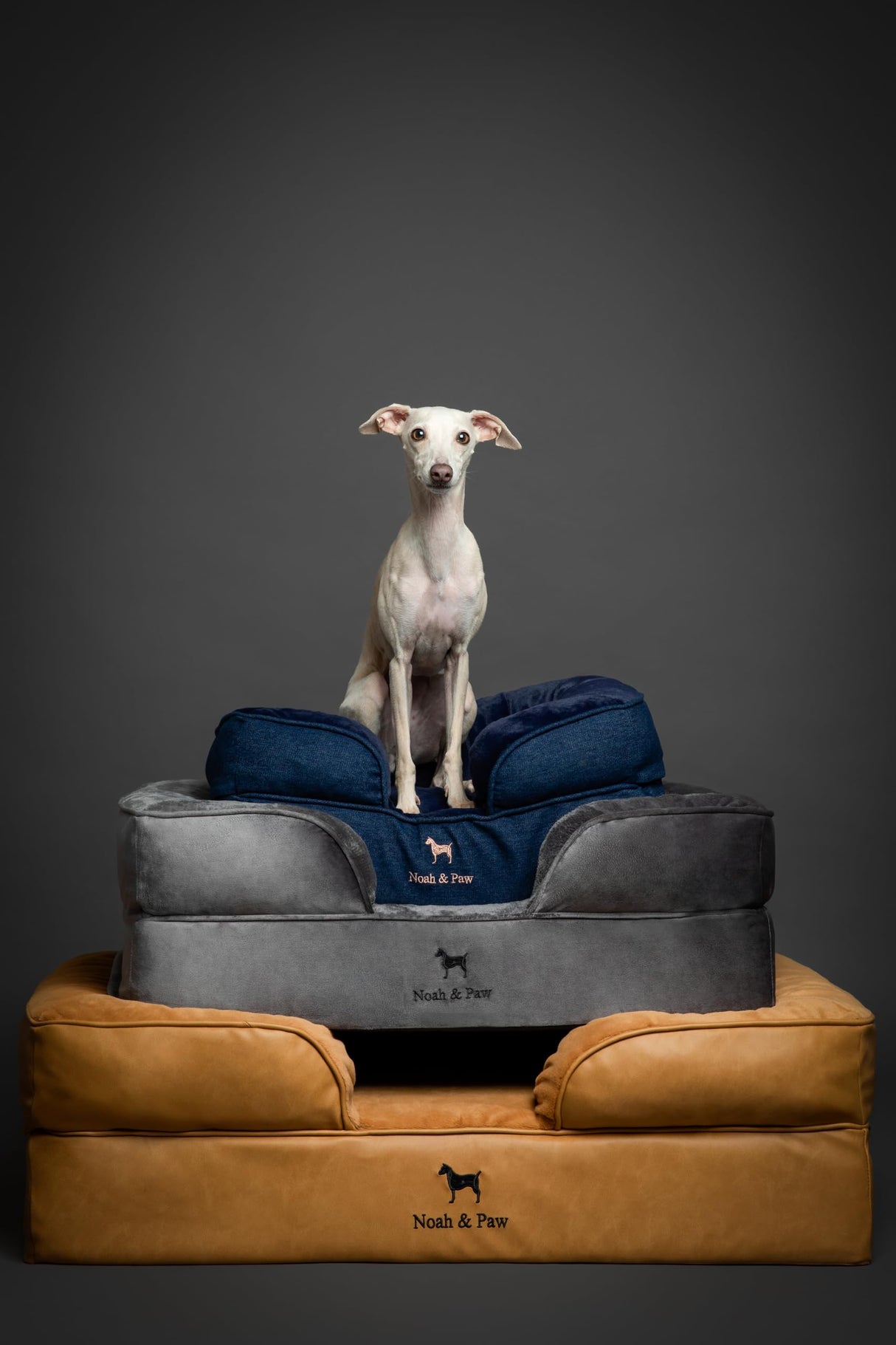 NOAH & PAW Dog Bed, 28x23x7.5 Inch, Orthopedic Dog Beds for Medium Size Pets, Eggshell Memory Foam Infused with Cooling Gel, Waterproof, Machine Washable, Includes Inner Cover (Velvet Collection)