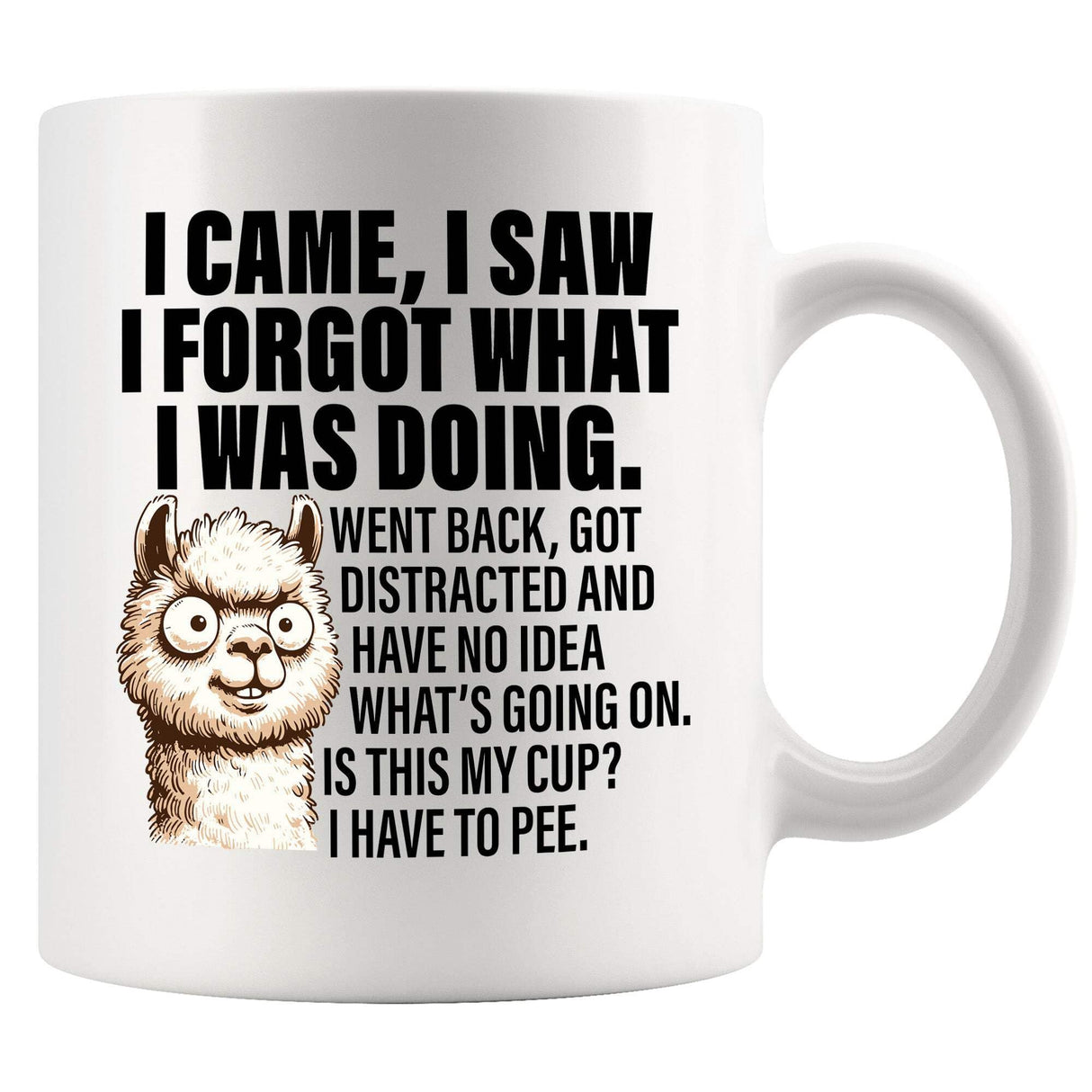 I Came I Saw I Forgot What I Was Doing Old People Elderly Gifts for Women Mom Men Grandpa Grandma 70th 80th 90th Birthday Senior Citizen Gifts for People with Dementia Ceramic Mug White 11 oz