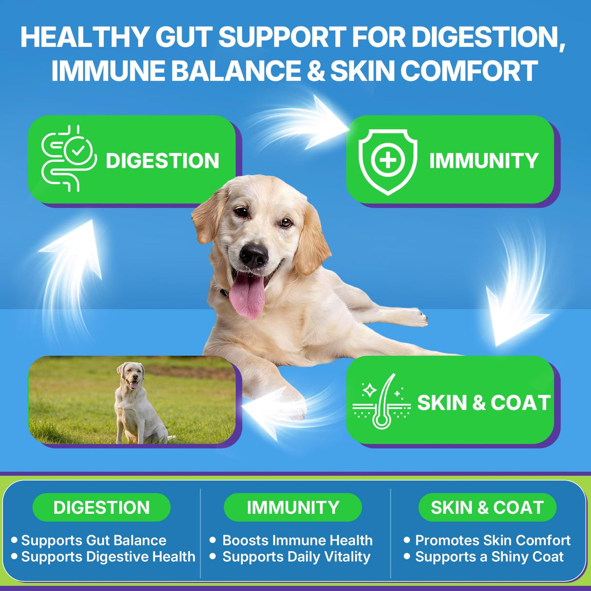 200 PCS Probiotics for Dogs - Dog Probiotic Chews for Gut Health, Digestive Support & Itchy Skin Relief Pet Diarrhea Gas Treatment - Probiotics, Digestive Enzymes, Prebiotics, Pumpkin