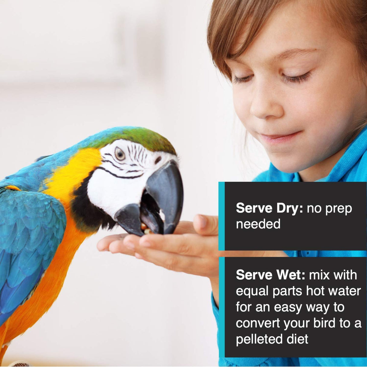 Hari Hagen Tropimix Enrichment Food for Small Parrots, 20 lb. (9.07 kg) - HARI Small Parrot Food with Seeds, Fruit, Nuts, Vegetables, Grains, and Legumes