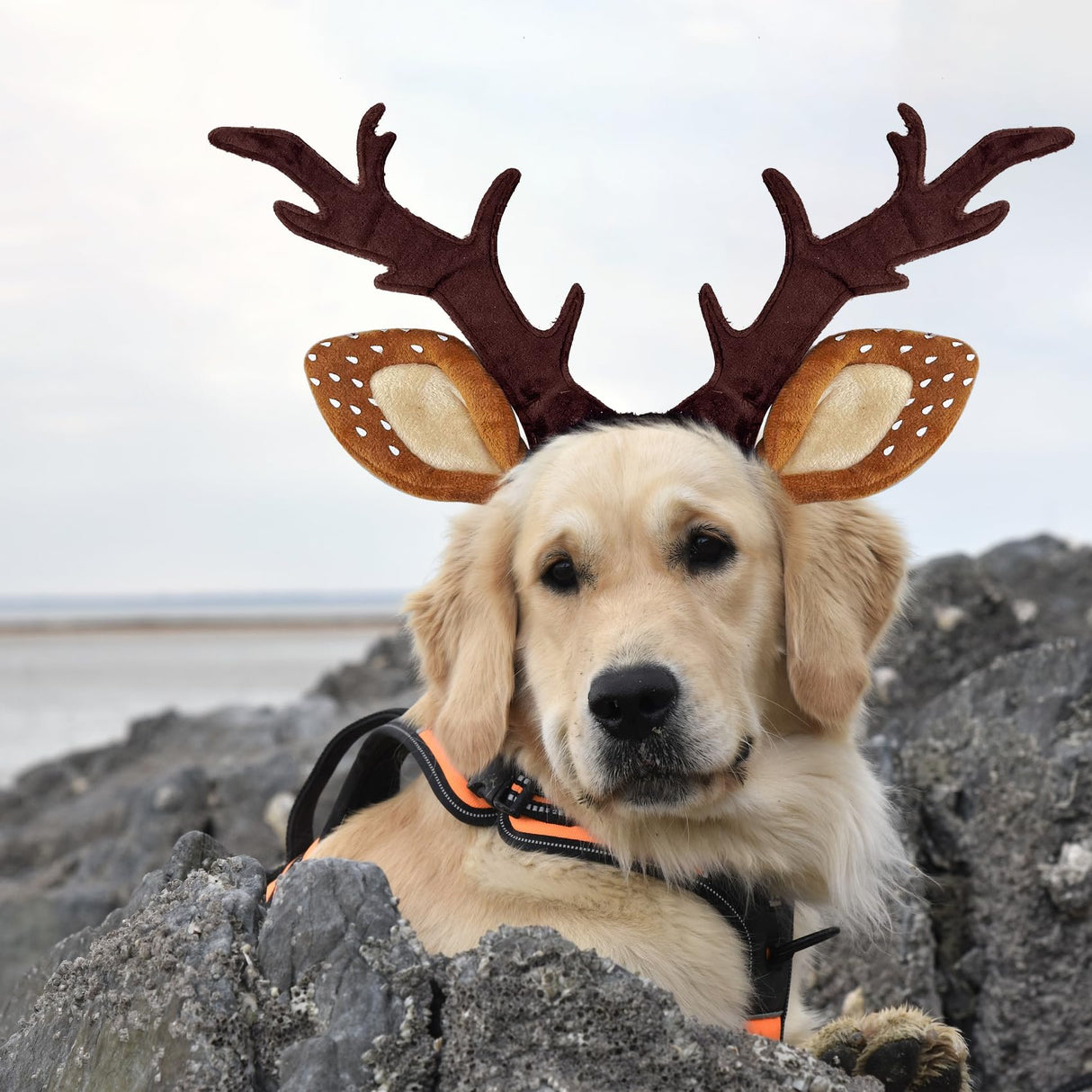 KUDES Dog Cat Christmas Reindeer Antlers Headband Classic Adjustable Elk Hat Headwear Pet Deer Cospaly Costumes Accessories (L(for Medium Big Dogs))