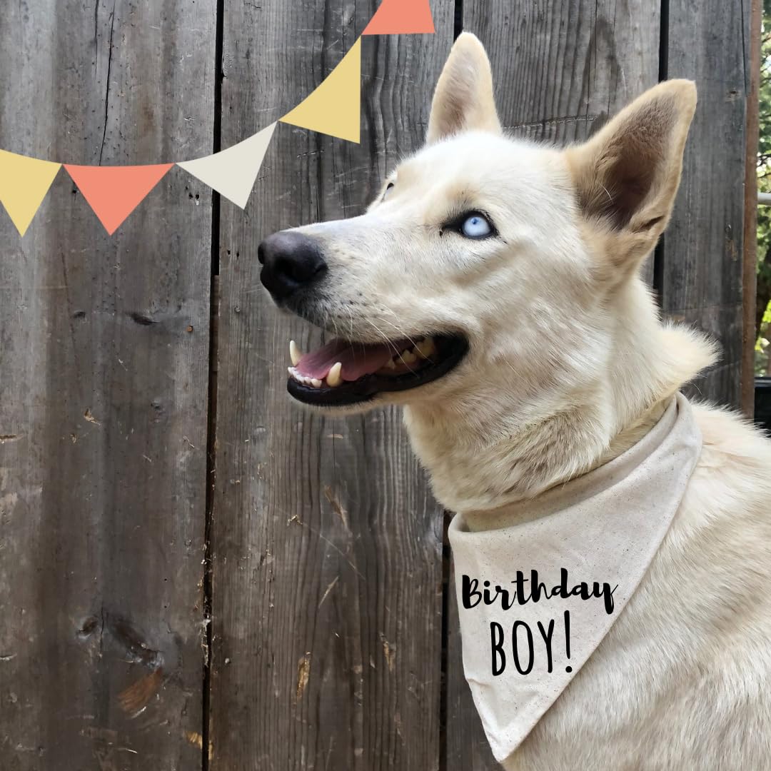 Dog Bandana Birthday Boy Barkday Pawty Attire Oatmeal Beige Boho Simple (Medium)