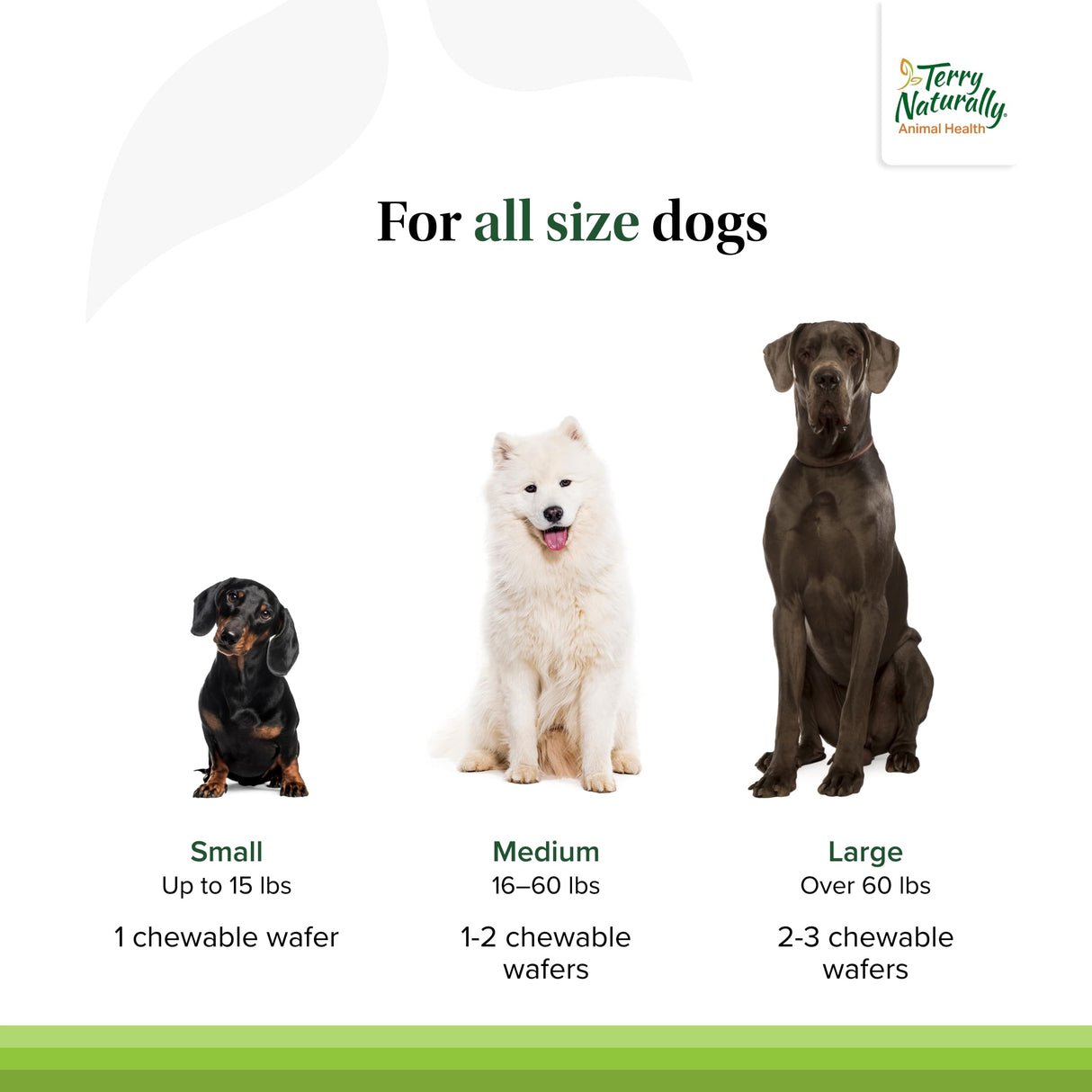Terry Naturally Joint & Hip - Dog Health Supplement for Joint & Hip Support - Muscle Health Formula - Joint Health Support for Dogs - Pet Care Supplies - 60 Chewable Wafers