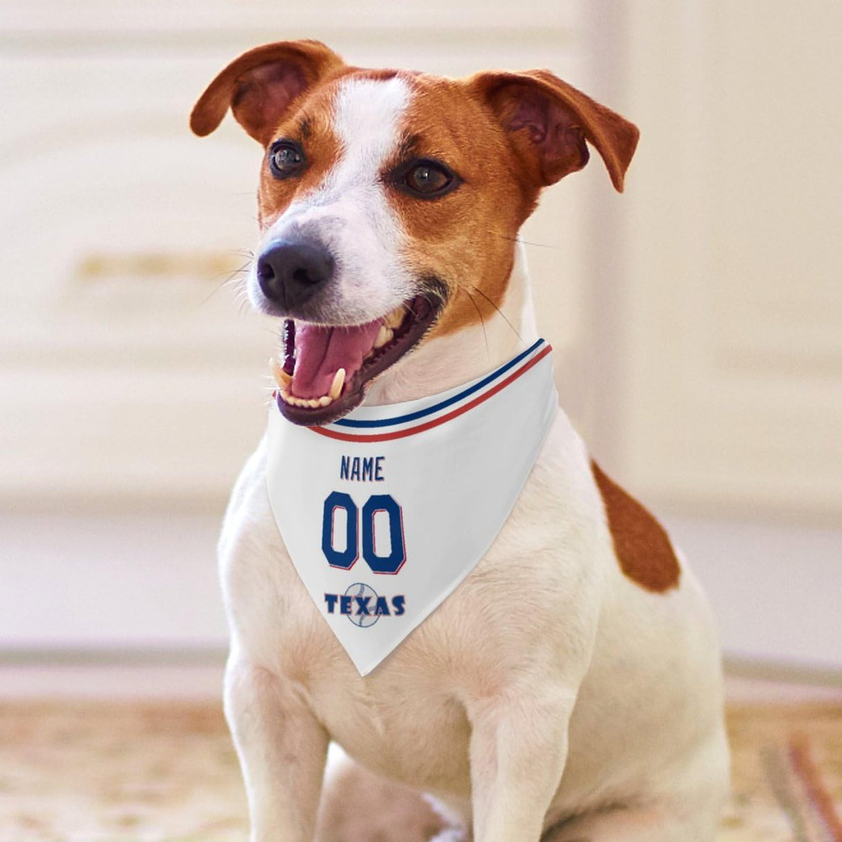 Toronto Dog Bandana Pet Gear Pet Apparel Select Any Name Any Number Gifts for Dogs Cats