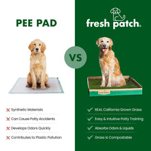 Load image into Gallery viewer, Fresh Patch Real Grass Patch for Dogs, Cats, and Small-Medium Pets Under 15 Pounds – Disposable Pet Grass Pee Pads – Indoor and Outdoor Potty Training Mat (16 Inches x 24 Inches)