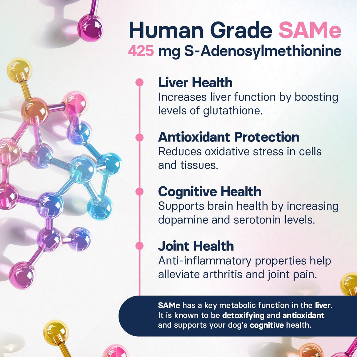 SilymarinAdvanced Liver Health Supplement for Large Dogs - Milk Thistle for Dogs Liver Support with S-Adenosylmethionine (Same) & Silybin - 30 Tablets