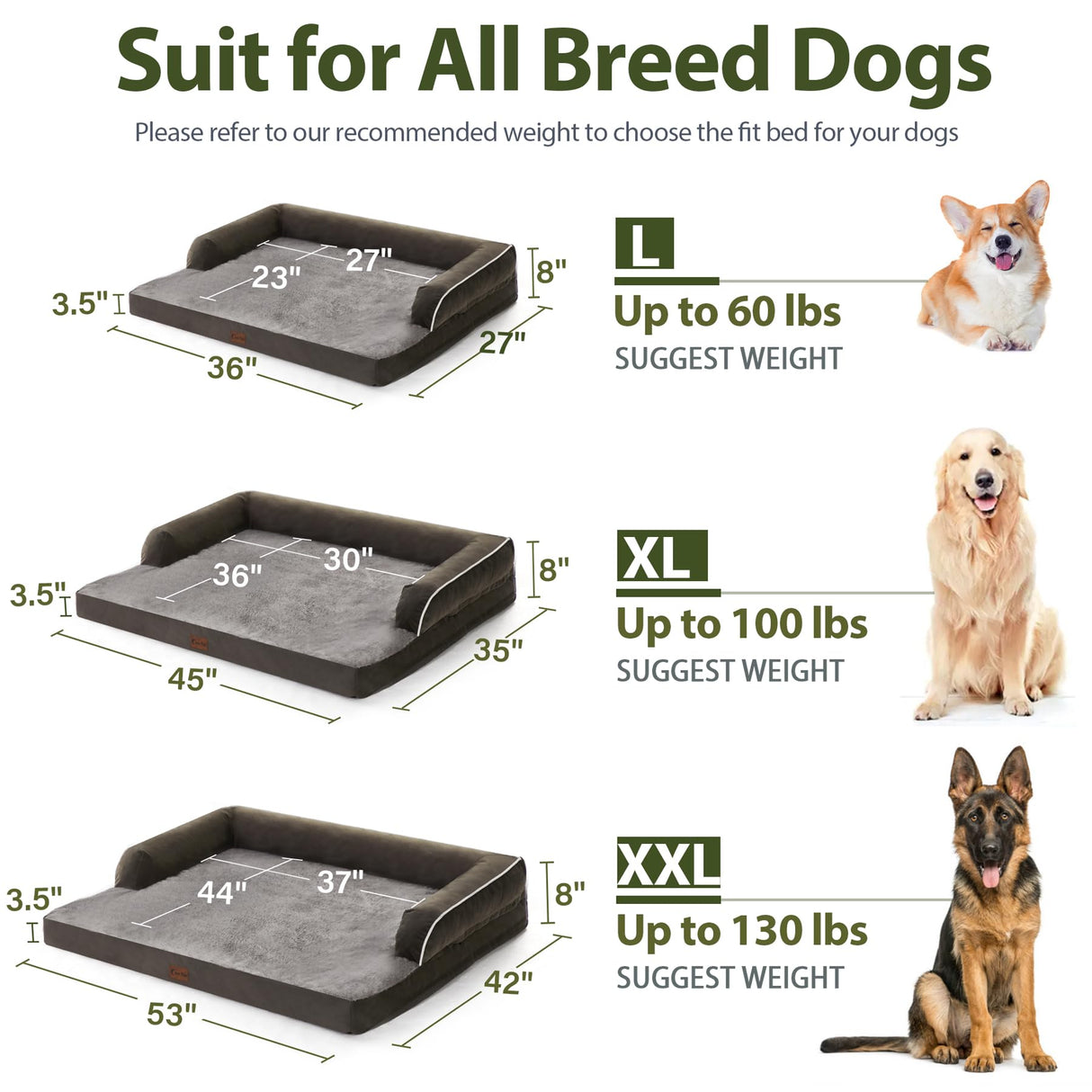 Casa Paw Orthopedic Dog Beds for Large Sized Dogs, Waterproof Egg Crate Foam Large Dog Couch Beds with Comfy Bolster 36x27Inch, Washable Pet Beds with Removable Cover and Nonskid Bottom, Dark Green