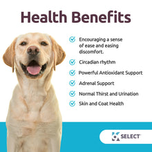 Load image into Gallery viewer, K9 Select Melatonin for Large Dogs - Composure Dog Calming Chews - Dog Melatonin for Sleep - Reduce Stress for Large Dogs - 6 mg, 90 Beef Flavored Chewable Tablets