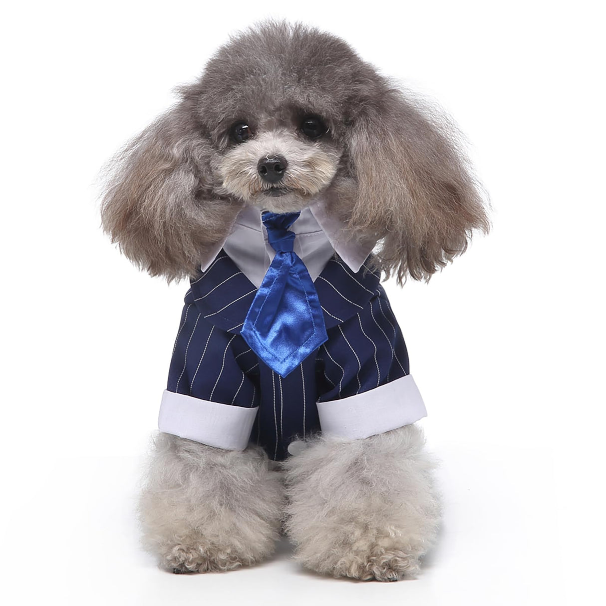 GabeFish Pets Wedding Jackets Suit for Dogs with Bow Tie Puppy Cat Formal Clothes Shirt Tuxedo (BlueStriped, S (Chest 12.9in/33cm)