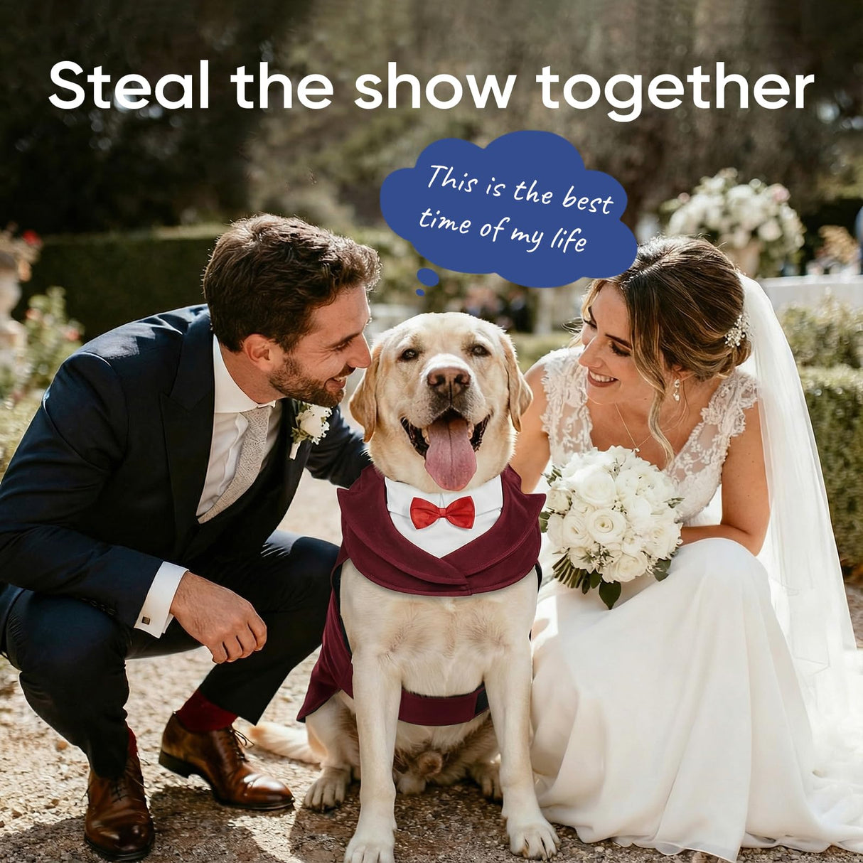 Supet Dog Tuxedo and Bandana Set with Bow Tie, Formal Outfit for Wedding Birthday Party Graduation Valentines, Pet Suit Clothes for Large Medium Small Dogs (Burgundy, M)