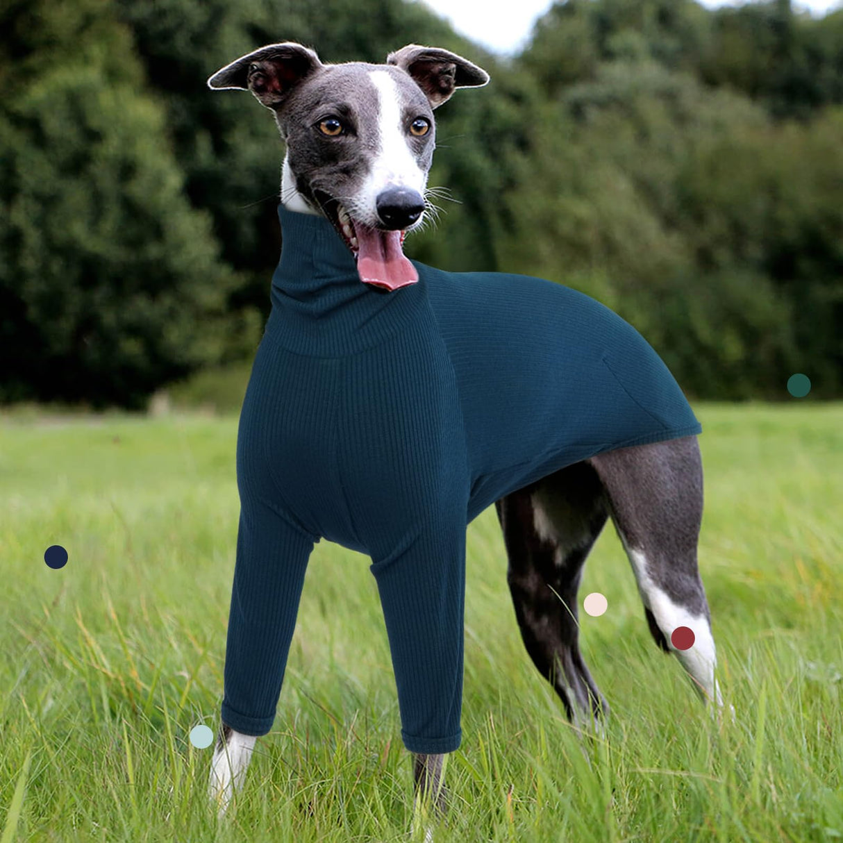 IECOii Greyhound Sweater, Cozy Italian Greyhound Jumpsuit, Pullover Dog Sweater for Small Dogs, Turtleneck Whippet Onesie Clothes for Spring Fall Outfits, Extra Soft Whippet T Shirts with Sleeves, XS
