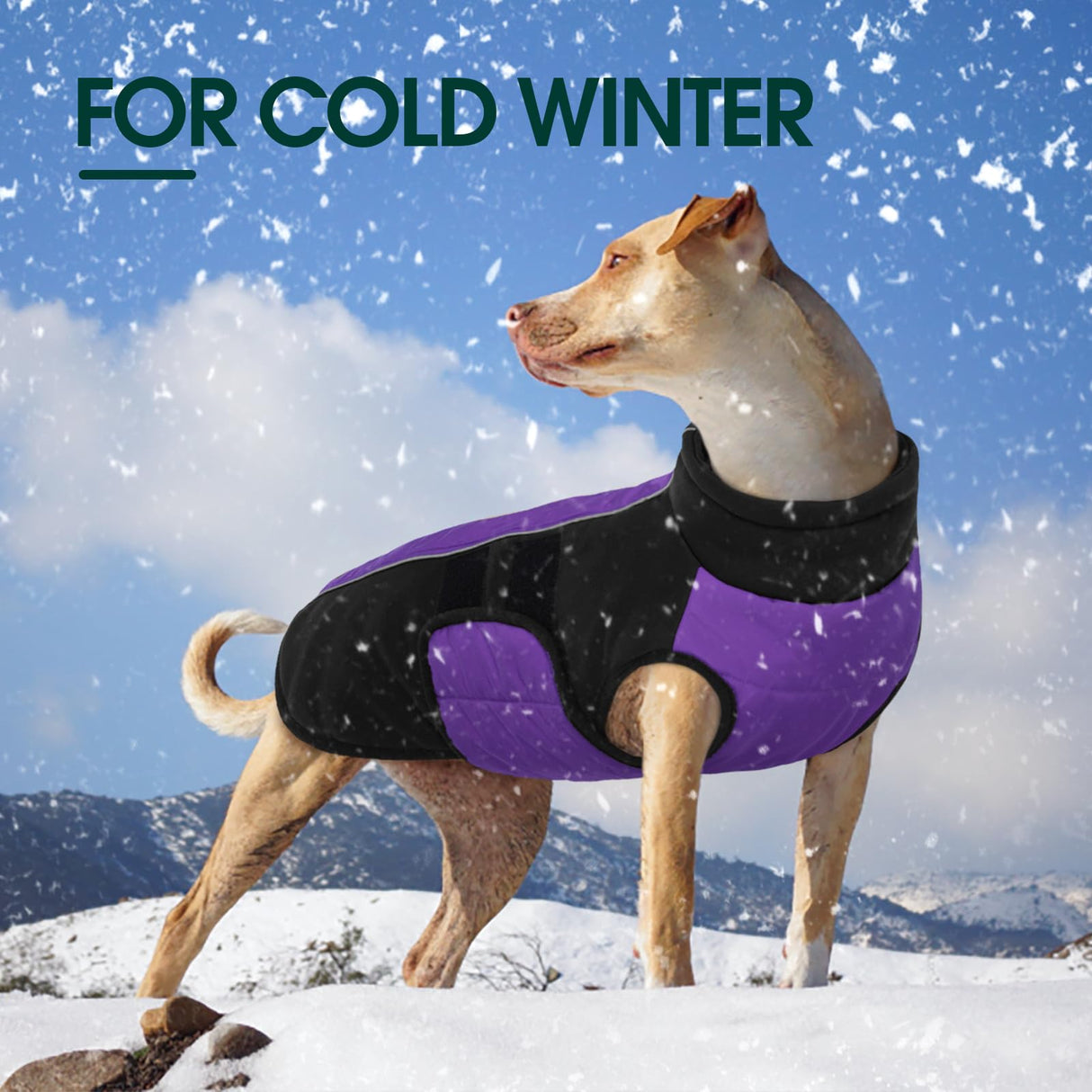 Kuoser Dog Jacket, Dog Coats for Large Dogs Winter Waterproof, Reflective Doggie Vest with Leash Hole, Cold Weather Coats Pet Snow Jacket for Labrador Beagle, Purple XL