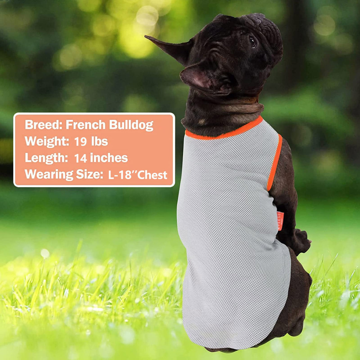 KYEESE 2 Pack Dog Cooling Shirts - Breathable Instant Cooling Vests, Lightweight for Summer Dog Apparel, Pink+Grey, Small