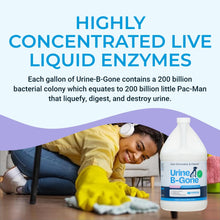 Load image into Gallery viewer, KINZUA ENVIRONMENTAL Urine B-Gone, Professional Enzyme Odor Eliminator & Pet Stain Remover, Human, Cat & Dog Urine Cleaner, Effective on Laundry, Carpets & More, Lavender Scent, 1 Gallon
