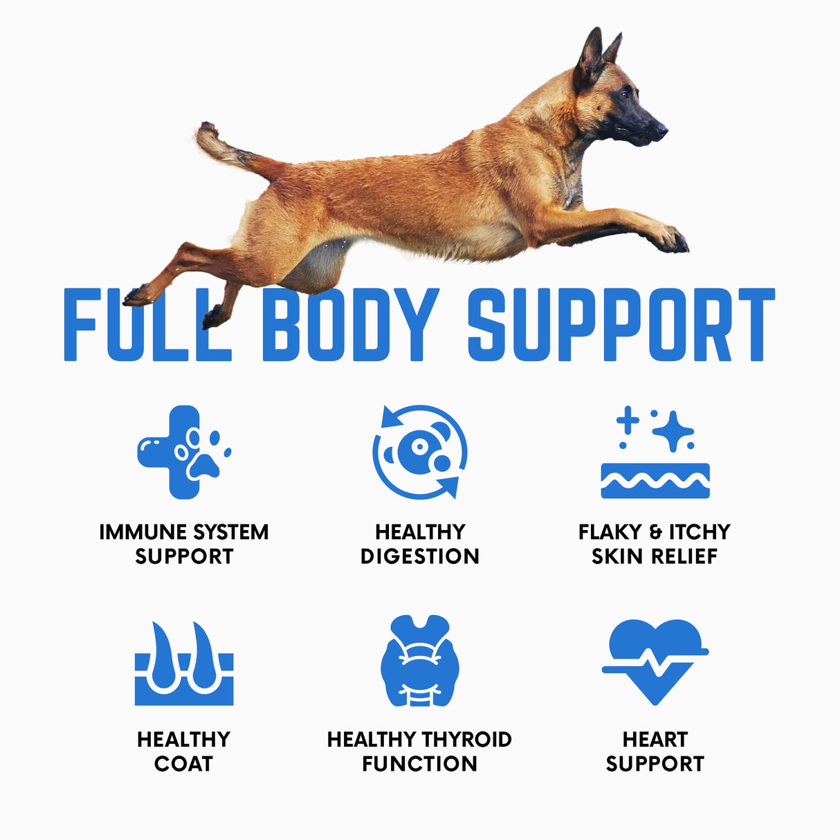 Organic Kelp Powder for Dogs, Dried Sea Kelp Supplement for Thyroid Function, Dental Health, Immune Support, Digestion, Skin & Coat - Iodine Rich - Multivitamin for Cats & Dogs 16oz - Made in USA