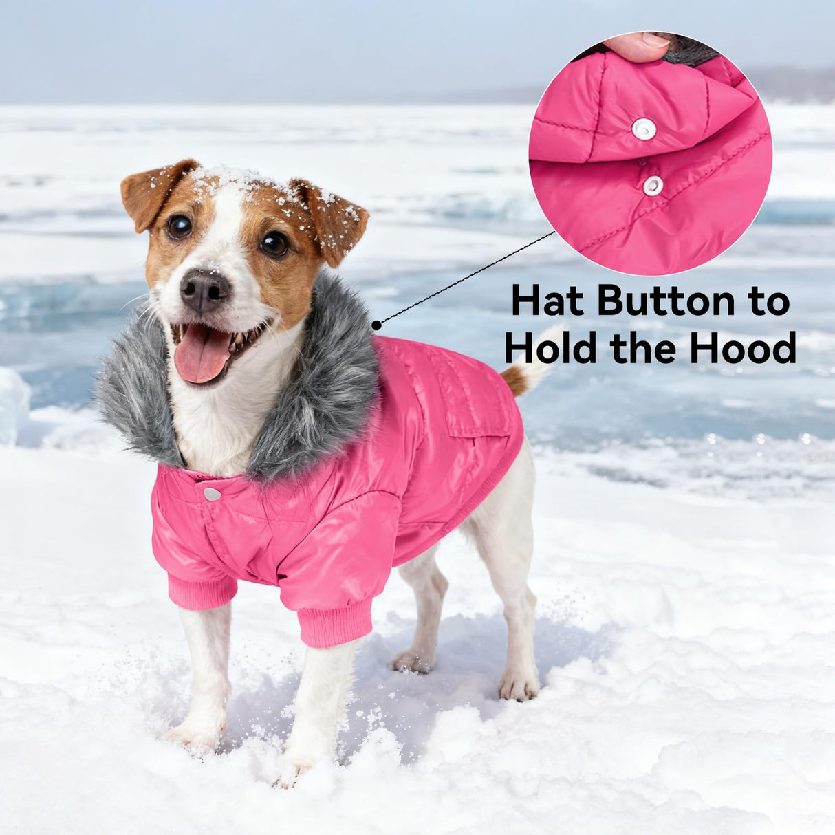 PETLESO Dog Coat for Small Dogs, Winter Pet Warm Jacket Cold Weather Windproof Puffer Jacket with Leash Hole, Button Fixable Hat, Pink XXL