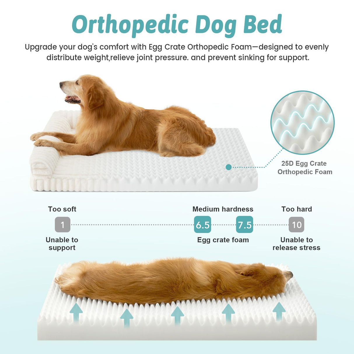 COZY KISS Cute Dog Bed for Medium Dogs, Faux Rabbit Fur Orthopedic Foam Dog Bed with Sides, Removable Washable Cover & Waterproof Lining, Comfortable Pet Couch, Cream (36" L x 27" W x 6.5" Th)