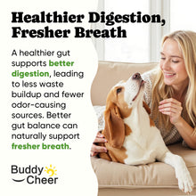 Load image into Gallery viewer, Probiotics for Dogs – Helps Digestion, Loose Stools, Gas & Sensitive Stomachs, Probiotics for Itchy Skin & Dog Yeast Infection, Immune & Fresher Breath with 4 Prebiotics & 5 Digestive Enzymes – 180 ct