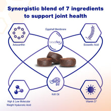 Load image into Gallery viewer, MOVOFLEX Advanced Soft Chews Hip Joint Support Supplement for Large Dogs 60 Count by Virbac