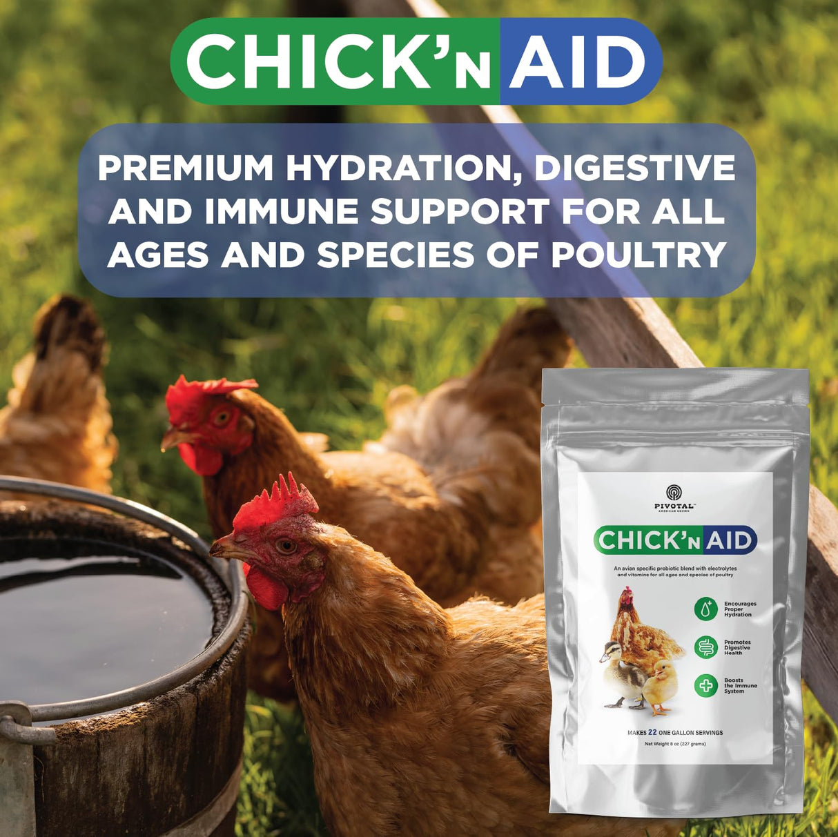 Pivotal Chick’n Aid Chicken Supplement for All Ages (8 oz, Pack of 1) - Chicken Vitamins, Electrolytes, and Probiotics - Multipurpose Poultry Vitamins for Chickens, Ducks, and Turkeys