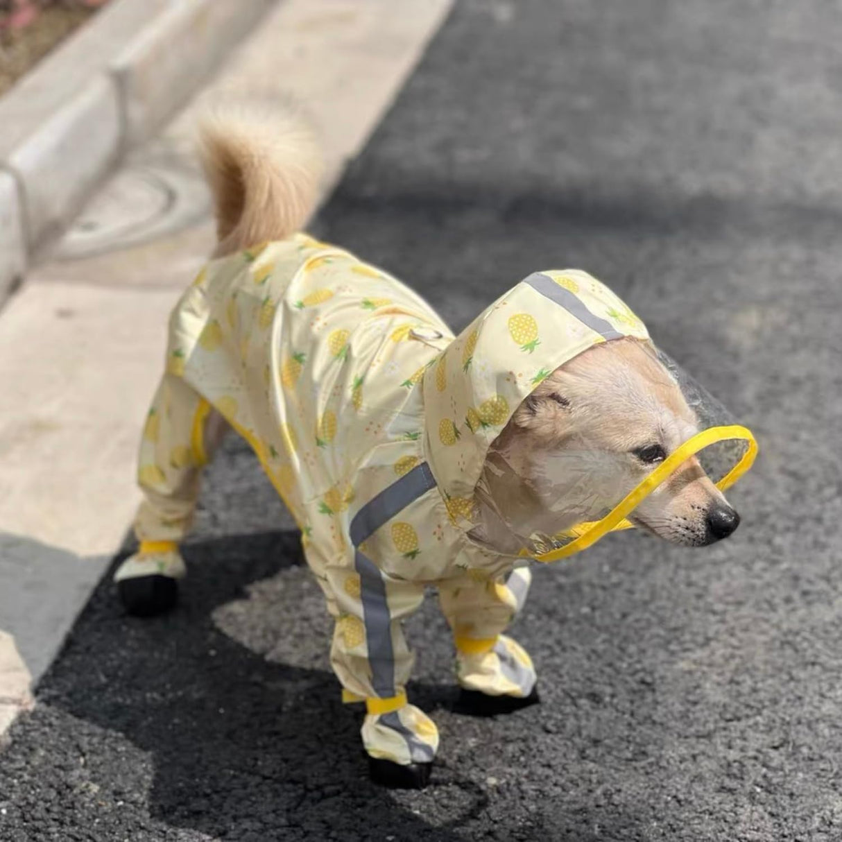 Harikaji Small Dog Raincoat, Tail Protect Feet Cover Waterproof Dog Rain Jacket Rain Coat for Puppy Small Dogs(Pineapple,XL)