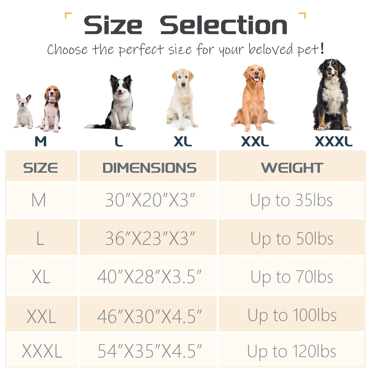 DEBANG HOME Dog Beds for Medium,Large Dogs Breeds,Sofa Dog Bed with Pillow for Crate Kennel, Super Soft Pet Bed for Support Bolster, Comfortable Pet Couch Bed & Non-Slip Bottom