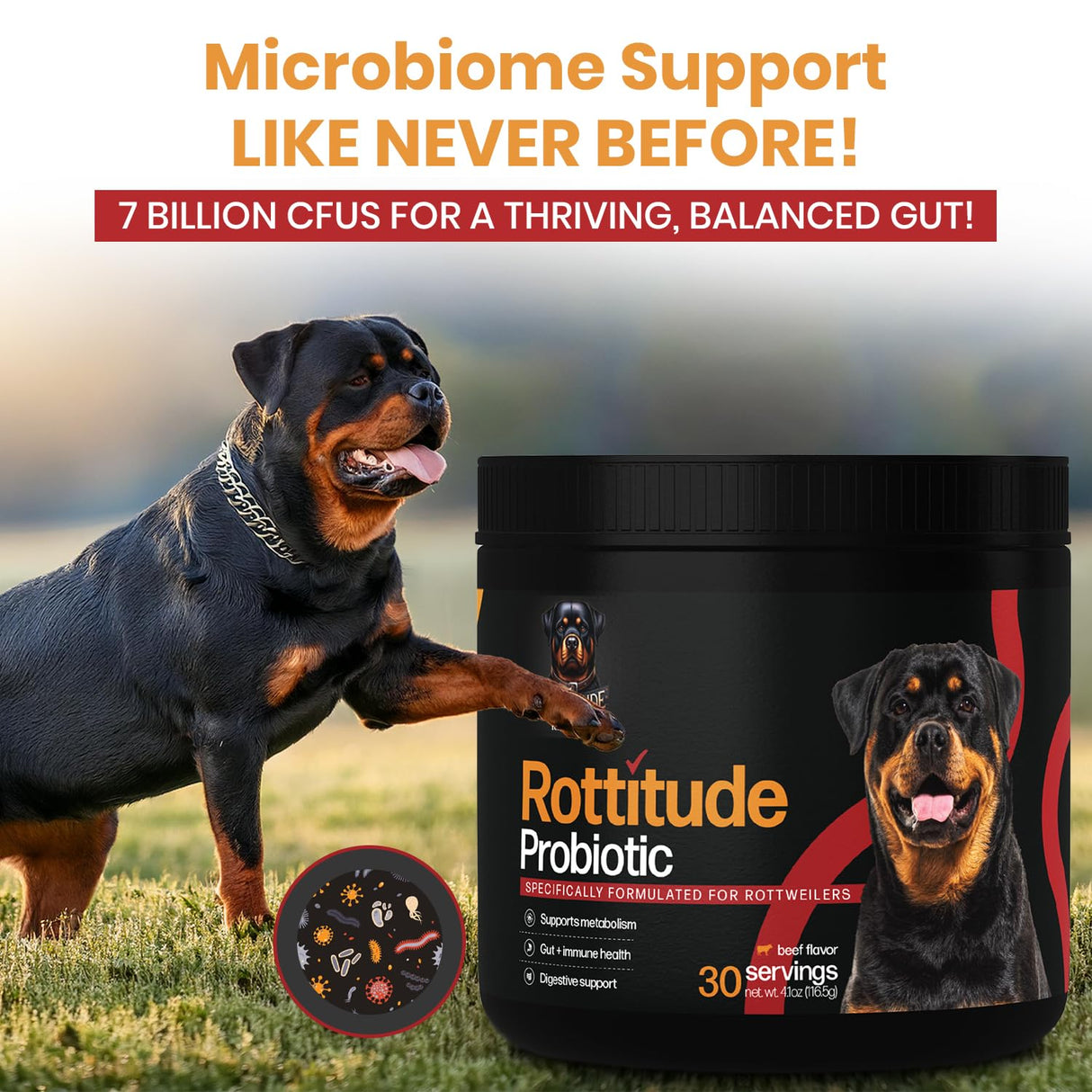 Rottitude Probiotics for Dogs – Natural Dog Probiotics for Digestive Health, Gut Health, Yeast, Itchy Skin & Itchy Ears – Probiotic for Dogs – Dog Probiotic Supplement for Rottweilers