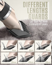 Load image into Gallery viewer, oneisall Dog Clipper Low Noise, Dog Grooming Kit with Rechargeable, Pet Shaver Cordless Electric Quiet Hair Clipper Set for Dogs Cats Pets(Gold)