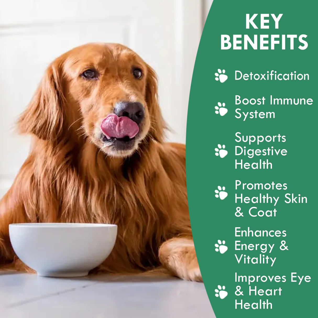 Holistic Bin Canine Fermented Chlorella Tablets | Plant-Based Supplements for Pets | Nutrient-Rich Dog Meal Toppers | Breath Freshener Treats Packed with Chlorophyll | Chlorella Tablets (100 Pieces)