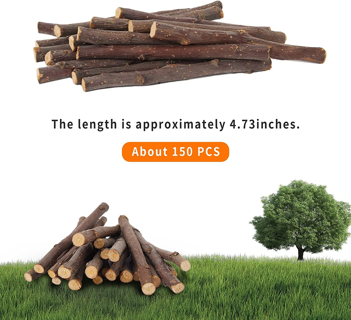 Petawi 700g Apple Sticks Molar Wood Treats, Rabbit Toys Chinchilla Guinea Pig Bunny Toys Wood Chews Sticks for Teeth Rabbit Food Guinea Pig Hamster Gerbil Chews Small Animals Snacks(200 Pcs)