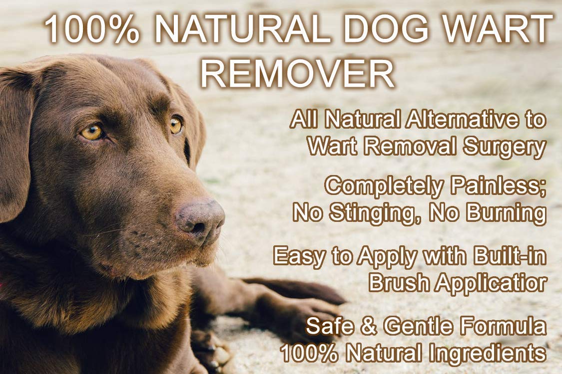 Dog Wart Remover (30ml) All Natural Painless Dog Warts Removal Treatment Skin Tag & Wart Remover for Dogs 1oz