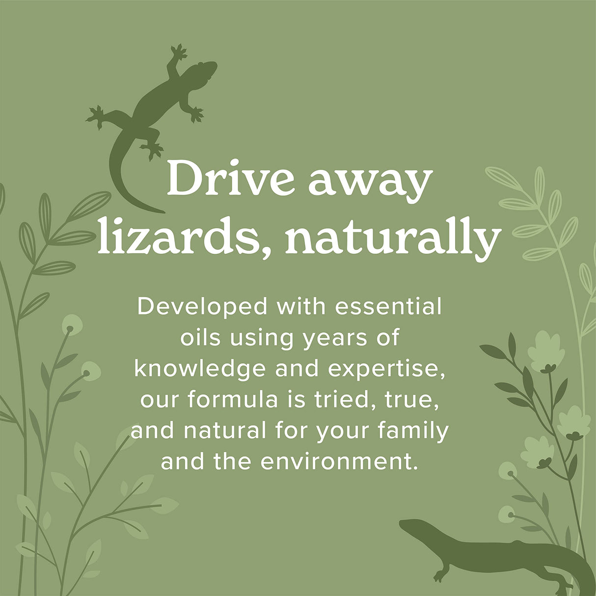 Vine Home Lizard Control Spray | 32 Ounce | Natural, Non-Toxic Lizard Repellent | Quick, Easy Pest Control | Safe Around Kids & Pets