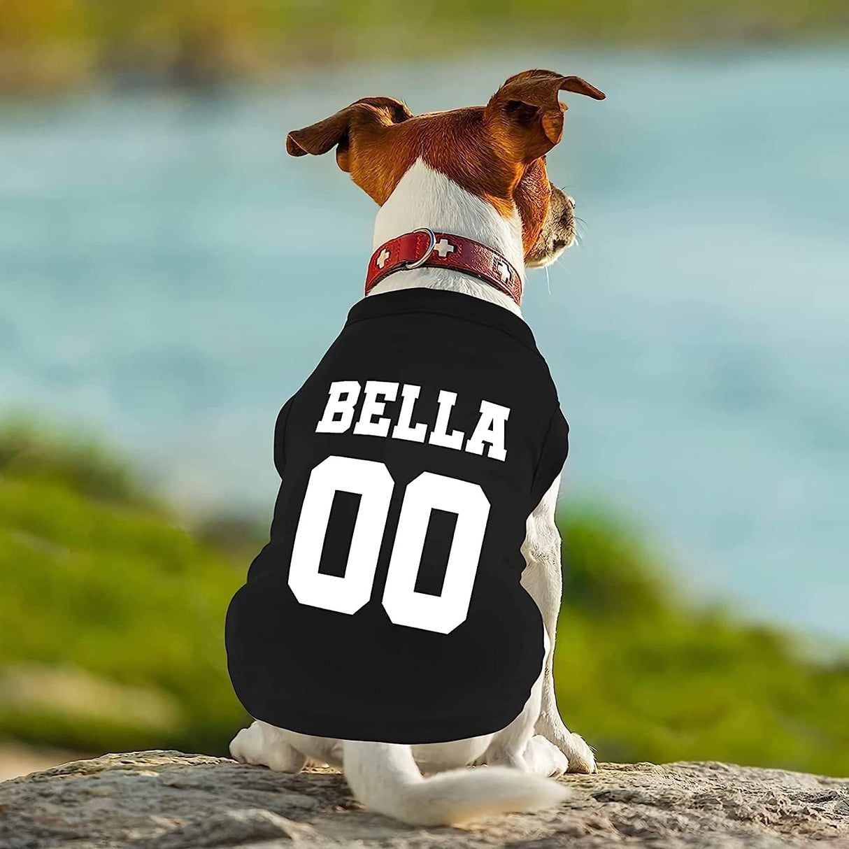 Customized Dog Jersey Shirt, Breathable Doggy Football Tee, Lightweight Sleeveless Vest Pet Clothes Personalized Pet Shirt Custom with Name/Text/Photo/Logo(Custom Dog Jersey)