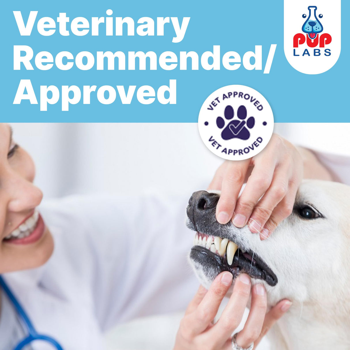 Pup Labs ProDenta, All-Natural Dog Dental Powder for Teeth Cleaning, Dental Powder for Dogs Teeth with Breath Freshener. Easy to use for Tartar Removal and Leaky Gums. Made in USA, 30 Servings