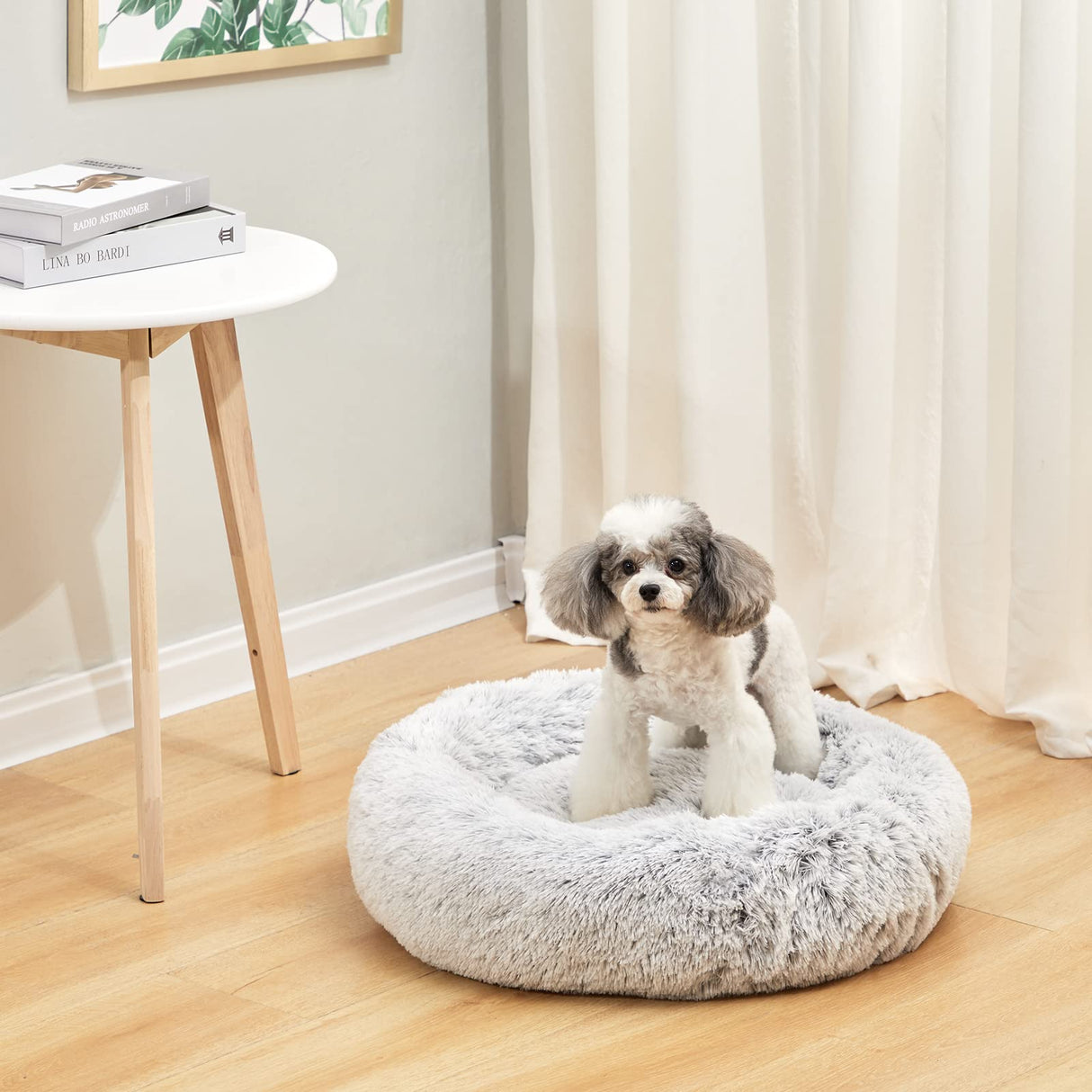 Bedfolks Calming Donut Dog Bed, 23 Inches Round Fluffy Dog Beds for Small Dogs, Machine Washable Anti-Anxiety Plush Puppy Bed(Light Grey, Small)