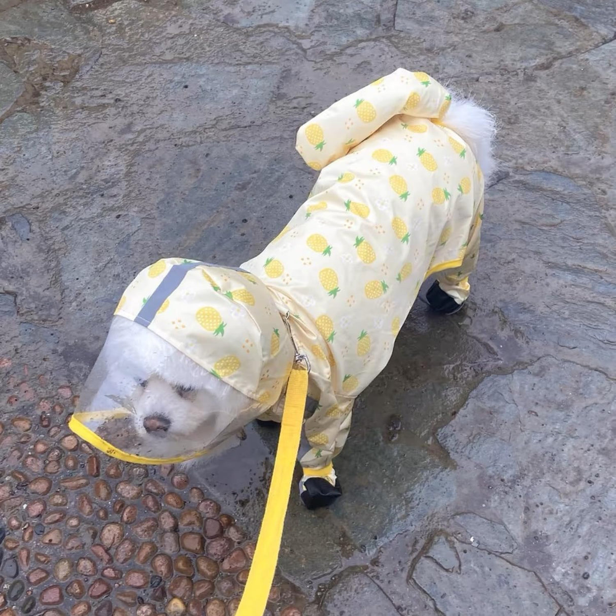 Harikaji Small Dog Raincoat, Tail Protect Feet Cover Waterproof Dog Rain Jacket Rain Coat for Puppy Small Dogs(Pineapple,XL)