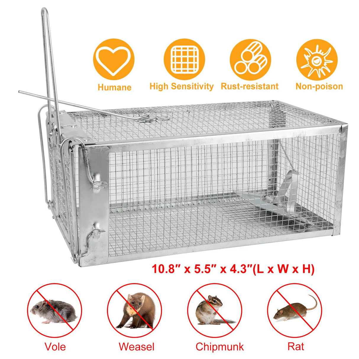 KOCASO 2 Pack Humane Rat Trap, 1-Door Small Live Chipmunk Trap That Work for Indoor Outdoor, Easy to Catch and Release Live Animal Trap Mouse Trap Cage for Rodent Mice Voles Hamsters, Metal & Reusable