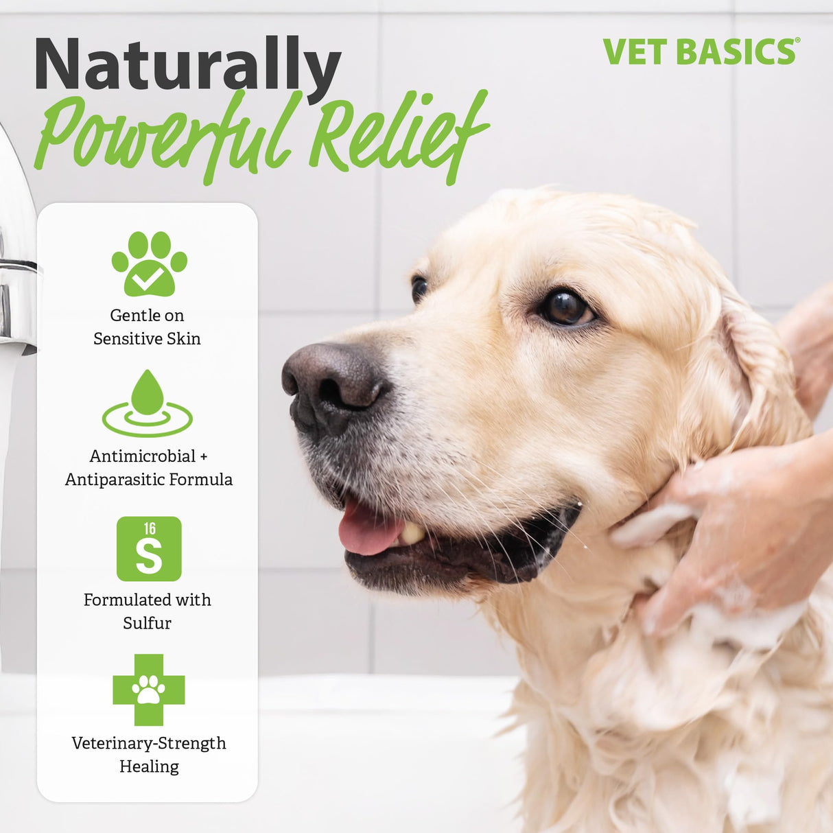 Vet Basics Lime Sulfur Dip β Skin Itch Relief Concentrated Antimicrobial & Antiparasitic Solution for Dogs, Cats, Puppies, Kittens & Horses, Helps Manage Ringworm, Mange, Skin Irritation, 16oz