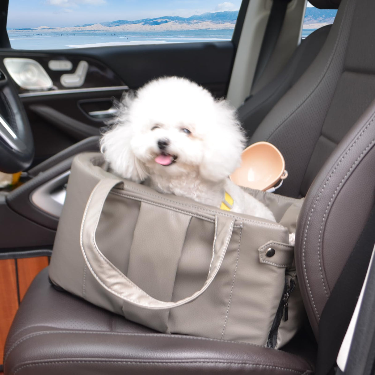 Portable Small Dog Seat for Car, Luxury Leather Center Console Dog Car Seat Booster with Safety Tethers, Anti-Collapse Pet Travel Carseat for SUV, Truck